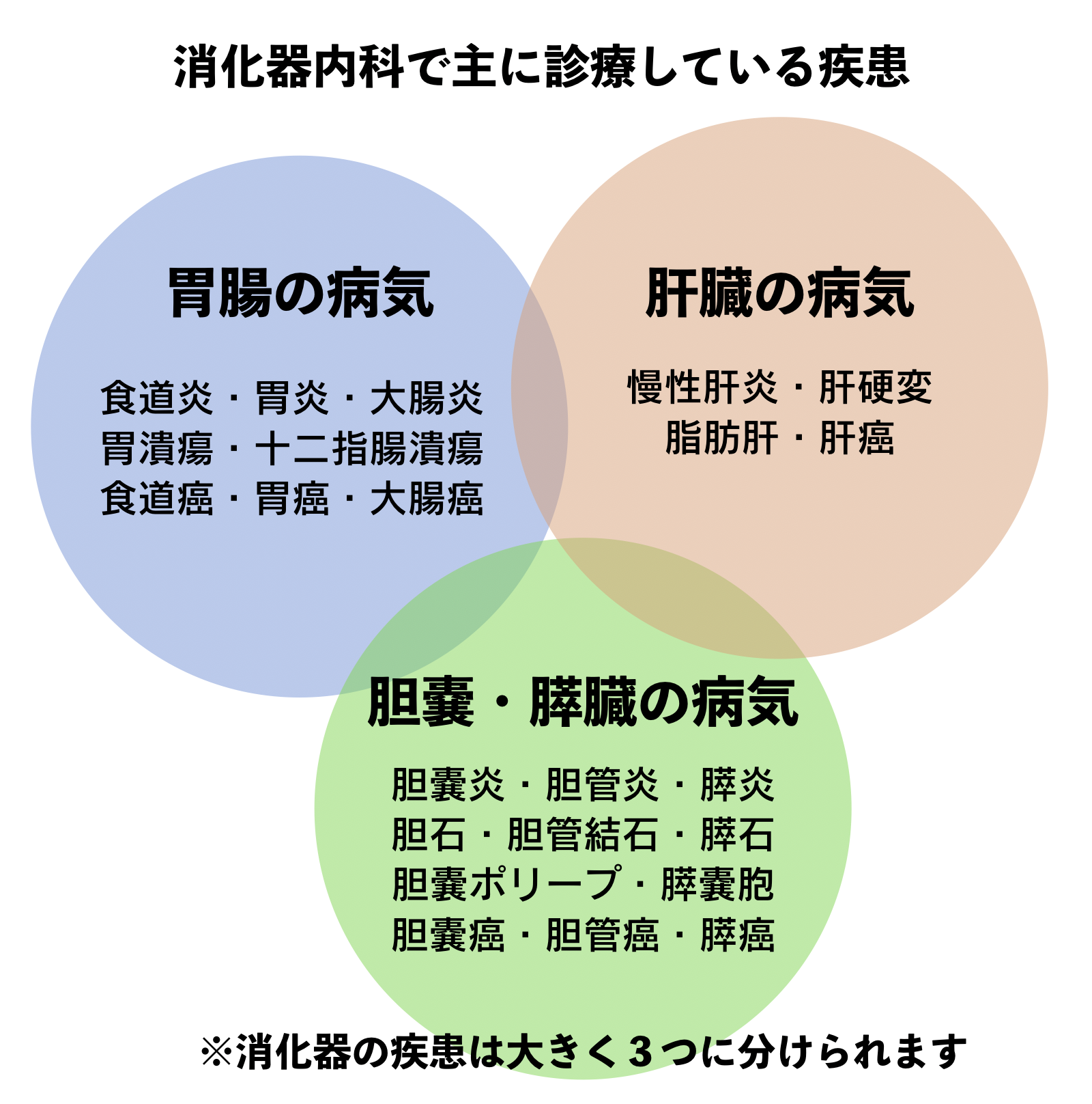 消化器内科／胃カメラ、大腸内カメラ、胆膵内視鏡（ERCP）などの検査に対応